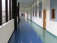 Commercial Vinyl Flooring